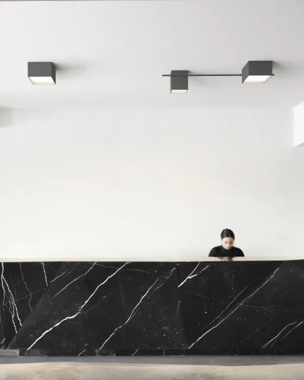 Structural Ceiling image 14