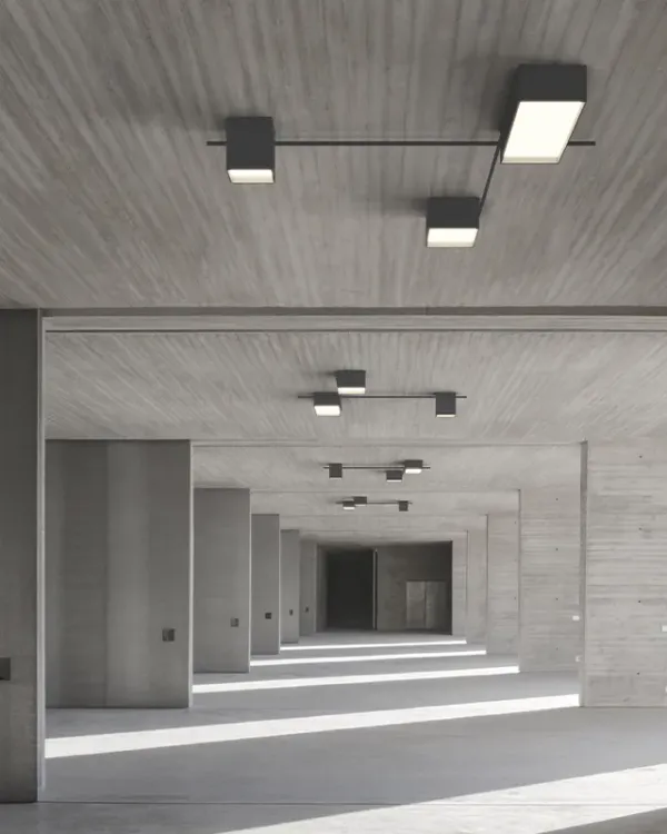 Structural Ceiling image 11