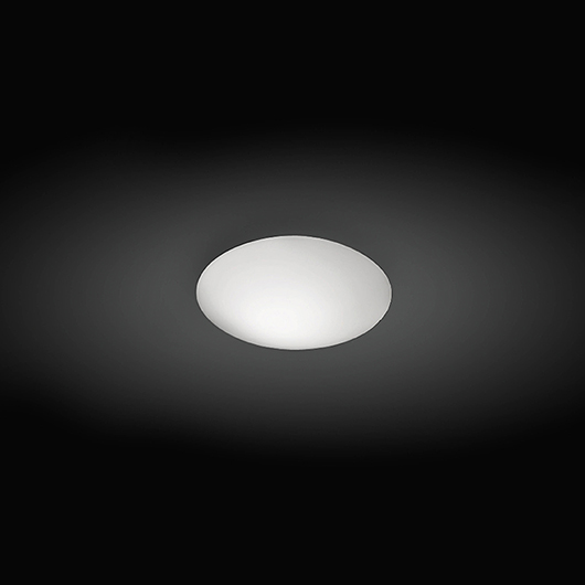 Puck Ceiling image 14