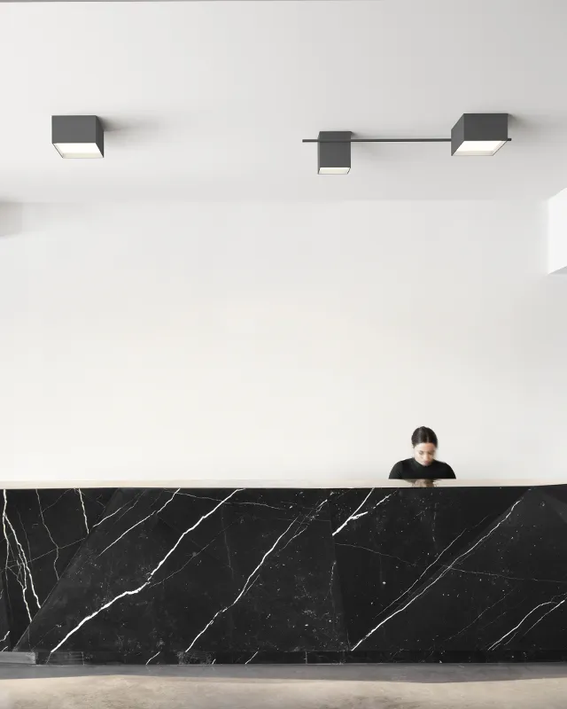 Structural Ceiling image 8