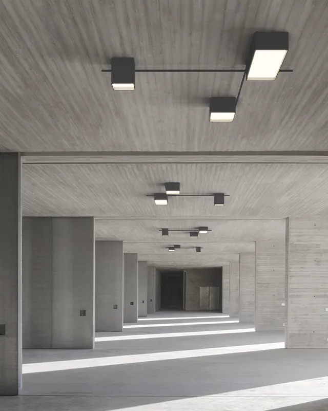 Structural Ceiling image 5