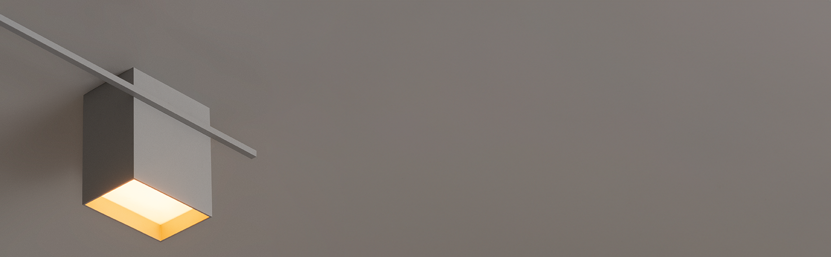 Structural Ceiling image 4